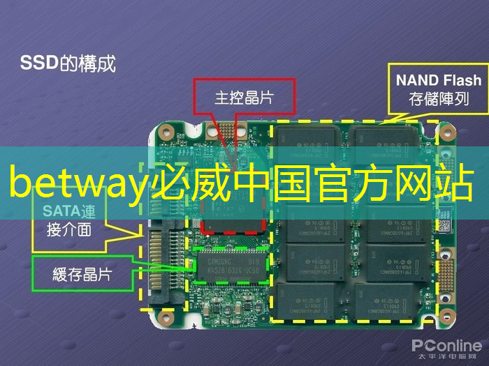 betway必威：接力巨轮智能，全国唯一人形机器人芯片龙头，业绩暴增354%+306家机构提前爆买