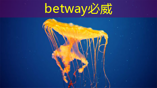 betway必威西汉姆联官网：公开课预告：一芯多屏趋势下，智能座舱芯片的创新与应用