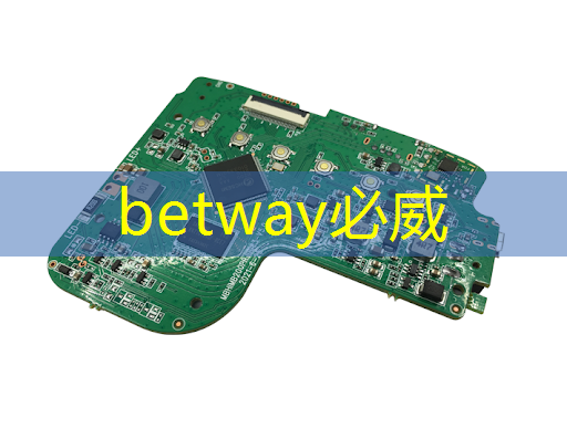betway必威中国官方网站:上海市芯片制造与封装电子电镀专题研讨会在上海大学顺利召开! betway必威中国官方网站:上海市芯片制造与封装电子电镀专题研讨会在上海大学顺利召开!