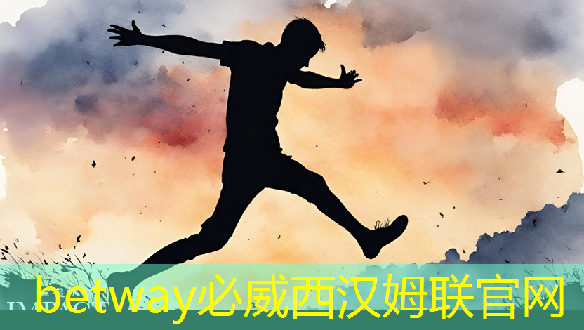 必威:电源管理芯片:如何选择与应用 必威:电源管理芯片:如何选择与应用