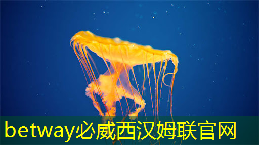 betway必威:ASIC芯片王者!垄断45%市场份额,大厂抛弃GPU,下一个常山北明? betway必威:ASIC芯片王者!垄断45%市场份额,大厂抛弃GPU,下一个常山北明?