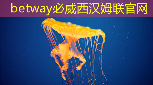 必威:车用需求拉动,预估今年上半年全球电源管理芯片产能提升4.7% 必威:车用需求拉动,预估今年上半年全球电源管理芯片产能提升4.7%