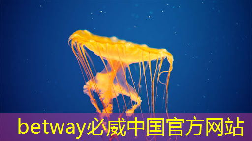 betway必威中国官方网站:华为首款AI芯片麒麟970可每分钟处理2000张照片,是三星S8的20多倍 betway必威中国官方网站:华为首款AI芯片麒麟970可每分钟处理2000张照片,是三星S8的20多倍