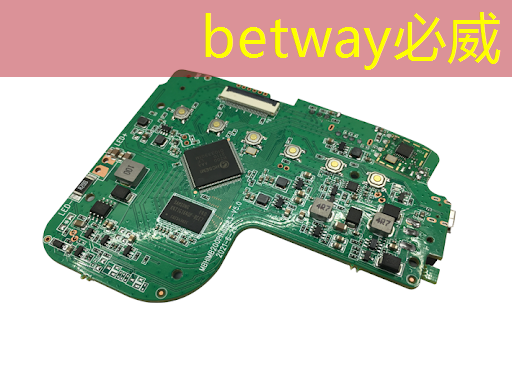 betway必威：地平线高级研发总监凌坤：好的自动驾驶AI芯片更是“好用”的芯片｜直播预告