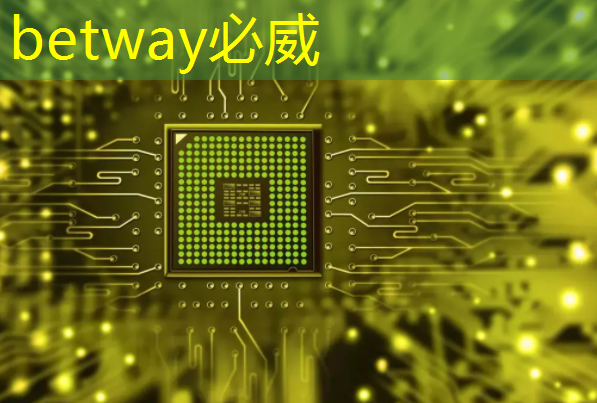 上海市芯片制造与封装电子电镀专题研讨会在上海大学顺利召开！