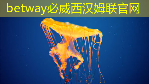 betway必威西汉姆联官网:腾讯首次公布三款自研芯片研发进展,投资的云端AI芯片今年底实现量产 betway必威西汉姆联官网:腾讯首次公布三款自研芯片研发进展,投资的云端AI芯片今年底实现量产