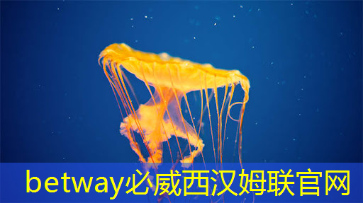 betway必威西汉姆联官网:苹果准备开发自家的人工智能芯片用于下一代iPhone betway必威西汉姆联官网:苹果准备开发自家的人工智能芯片用于下一代iPhone