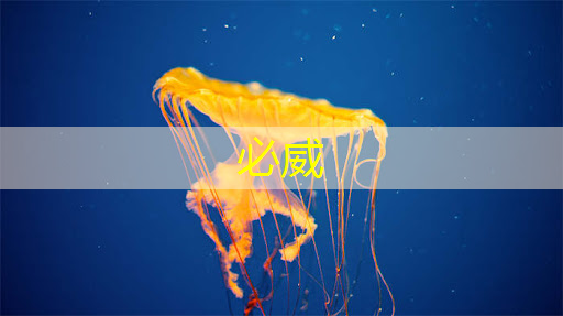 betway必威:特大好消息,中国芯片首次出口 betway必威:特大好消息,中国芯片首次出口