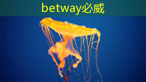 betway必威中国官方网站:有趣的数据:中国芯片产业在世界上的地位 betway必威中国官方网站:有趣的数据:中国芯片产业在世界上的地位