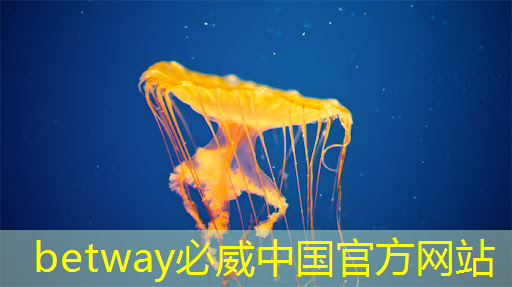 betway必威西汉姆联官网:射频芯片和普通芯片的不同之处在哪? betway必威西汉姆联官网:射频芯片和普通芯片的不同之处在哪?