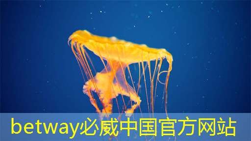 betway必威中国官方网站:清华发布《人工智能芯片技术白皮书(2018)》 betway必威中国官方网站:清华发布《人工智能芯片技术白皮书(2018)》
