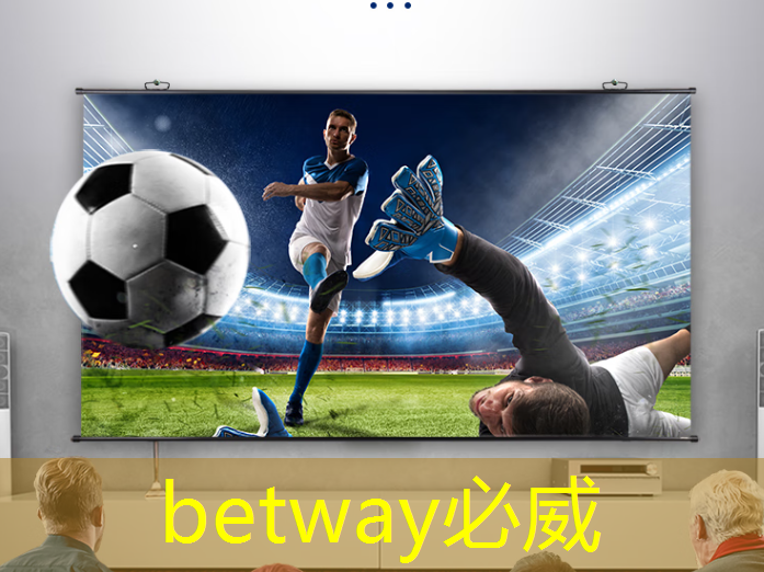 betway必威中国官方网站:张强:中国汽车智能芯片行业里的行动派 betway必威中国官方网站:张强:中国汽车智能芯片行业里的行动派