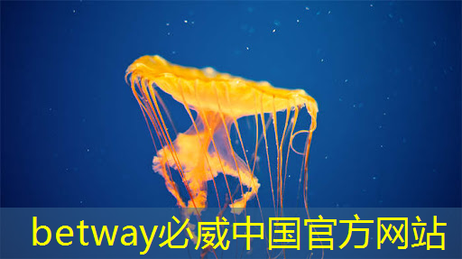betway必威:燧原科技:做大芯片,拼硬科技!首发国内第二代人工智能训练芯片“邃思2.0”! betway必威:燧原科技:做大芯片,拼硬科技!首发国内第二代人工智能训练芯片“邃思2.0”!
