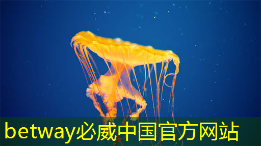 现代物流管理 智能物流