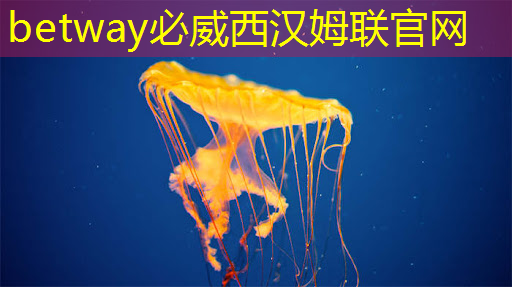 芝麻投影:定义您的家庭娱乐方式! 芝麻投影:定义您的家庭娱乐方式!