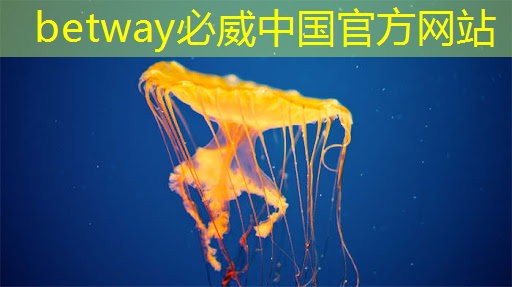 实现智慧社区全面升级:智能商显点亮都市未来之路! 实现智慧社区全面升级:智能商显点亮都市未来之路!