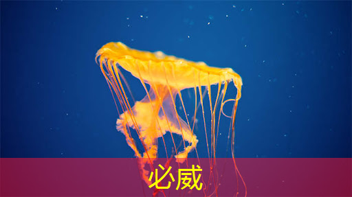 机会来临，人工智能芯片概念股，抓住市场主线！